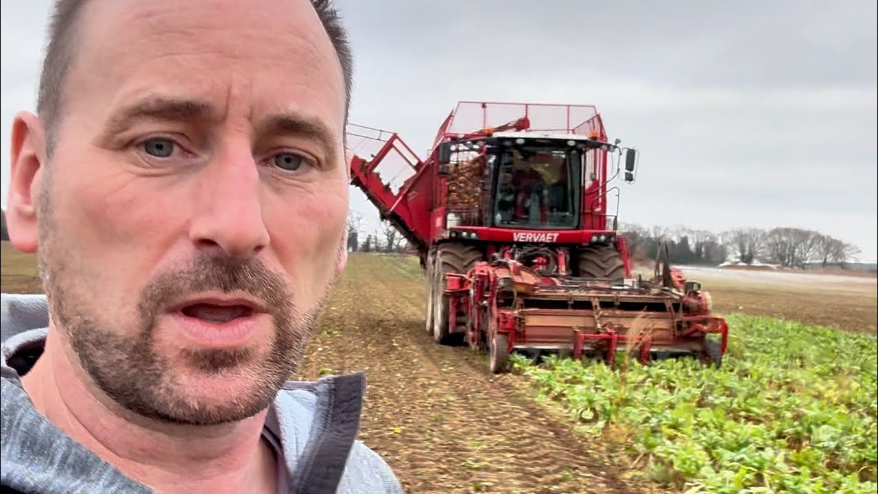 VERVAET BEET EATER HARVESTER DOES JUST THAT  #britishfarming