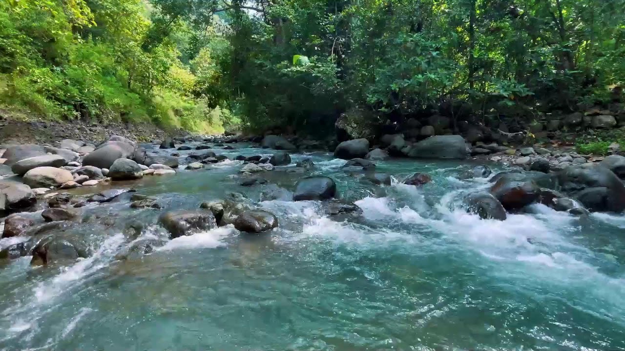 Relaxing River Sounds for Focus, Studying & A Peaceful Home 🌿 Relaxing Sleep Calming Anxiety