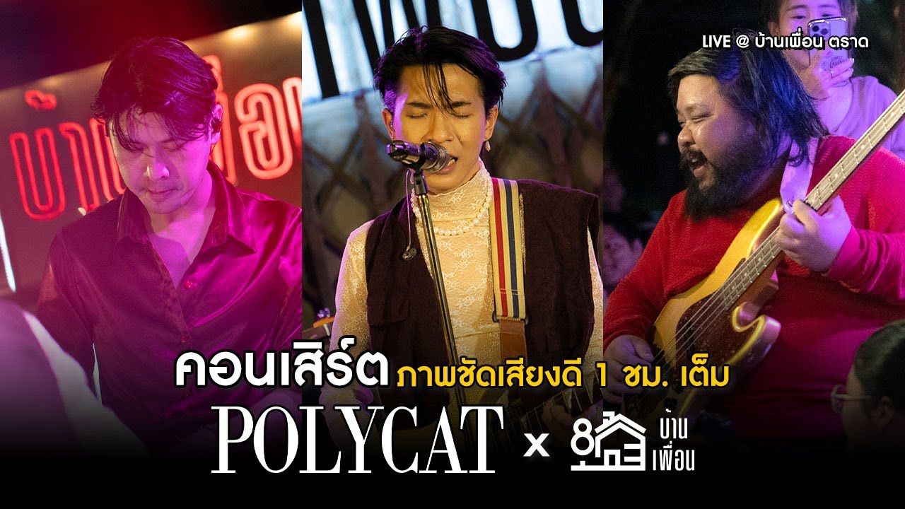 คอนเสิร์ต POLYCAT ภาพชัดเสียงดี 1 ชั่วโมงเต็ม | Live Concert บ้านเพื่อน ตราด