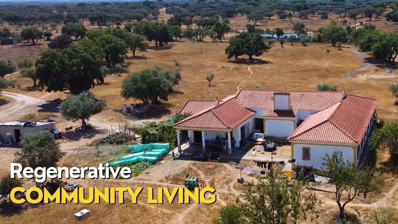 🌱🐓PurposeFlow: A Sustainable Community's Eco-Living Journey in Portugal🌿