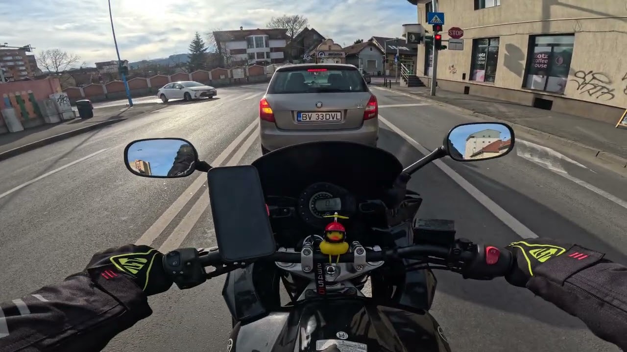 Vine vara