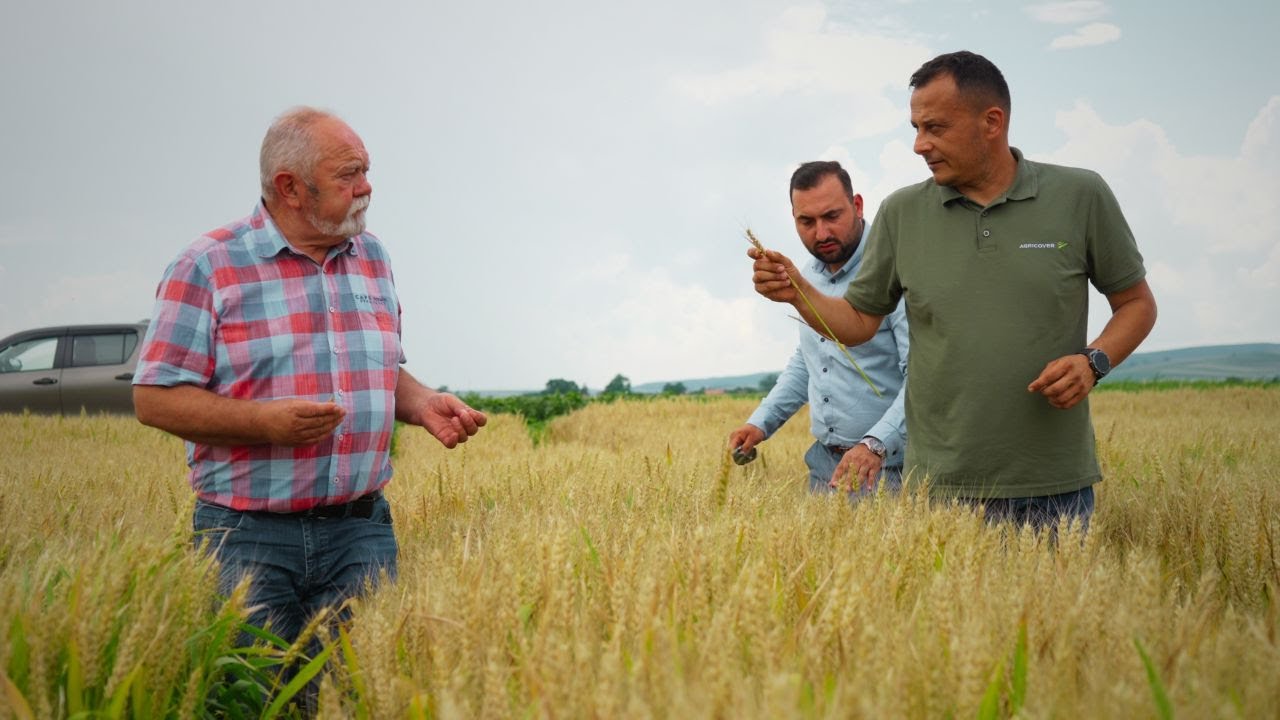Tratamentele pentru cereale păioase de la Agricover, cheia succesului pentru un fermier din Covasna