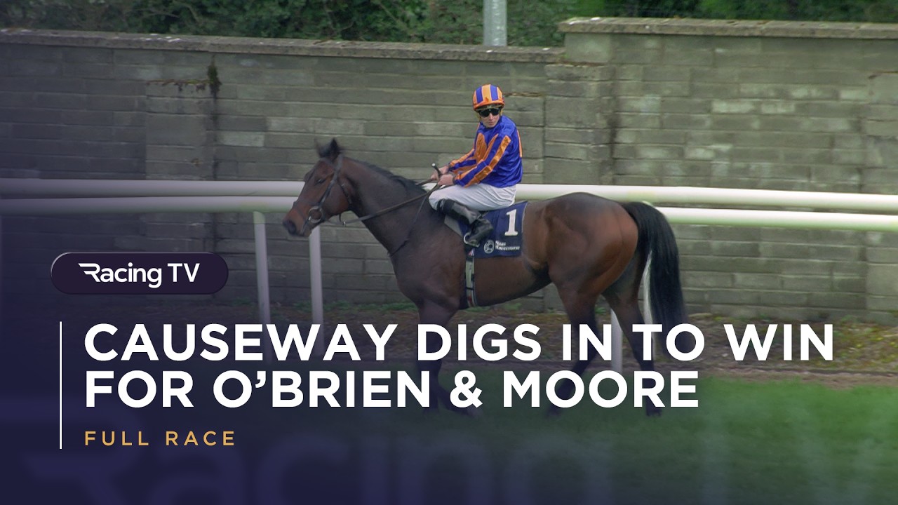Causeway emulates Paddington with Madrid success for Aidan O'Brien at Naas | Racing TV