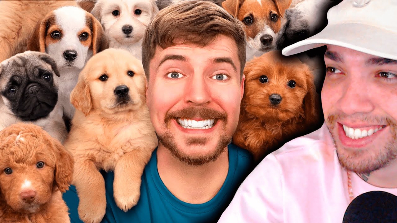 Resgatando 100 Cachorros Abandonados!