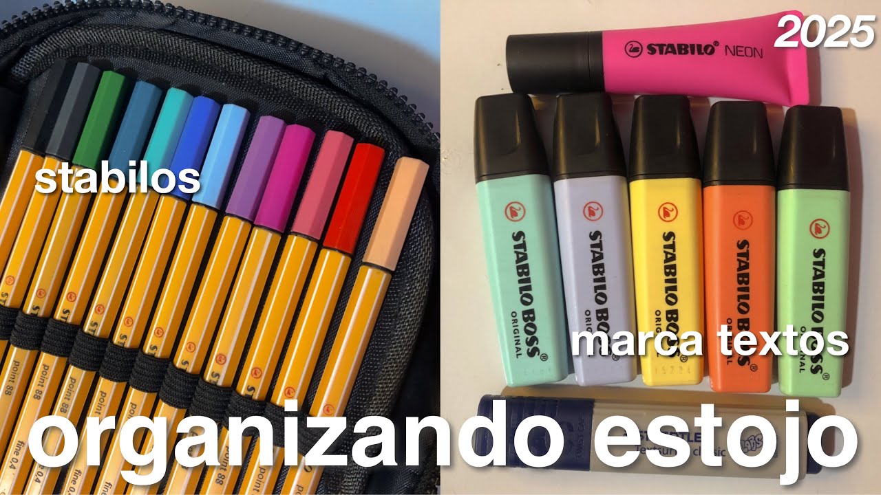 Organizando meu estojo 2025