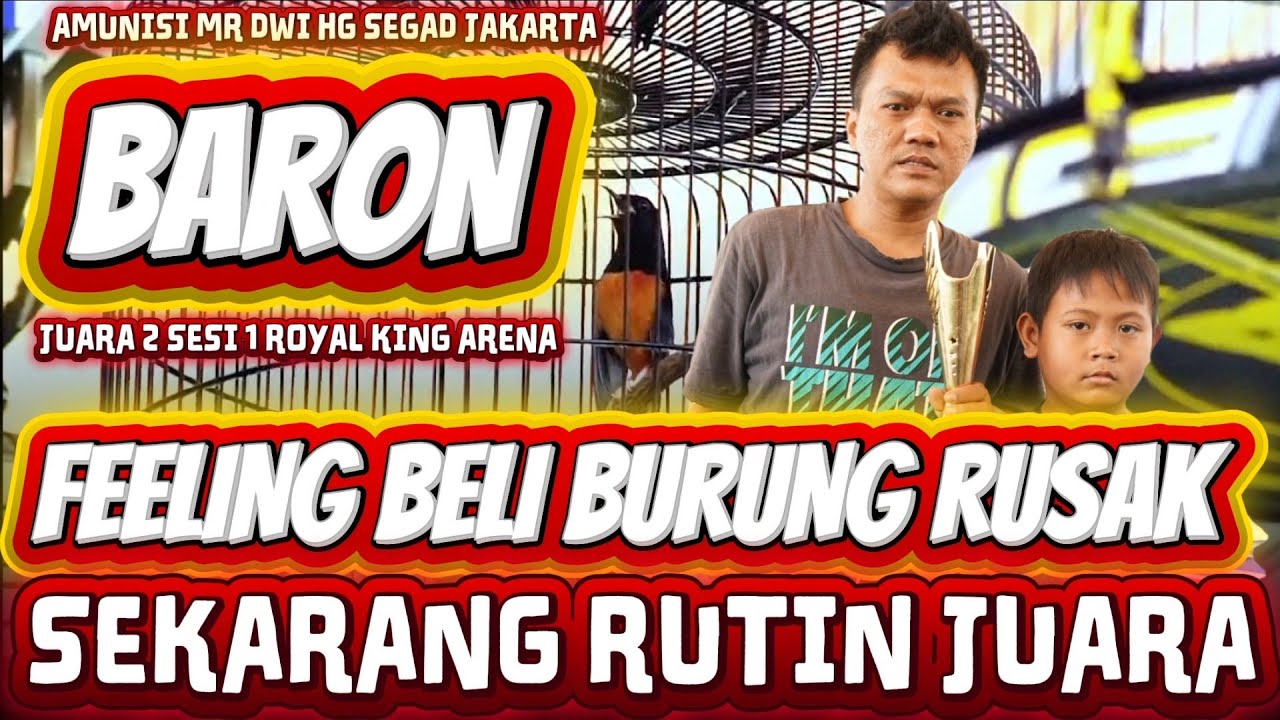 DARI BURUNG RUSAK KINI RUTIN JUARA | MURAI BARON JUARA 2 SESI 1 ROYAL KING ARENA