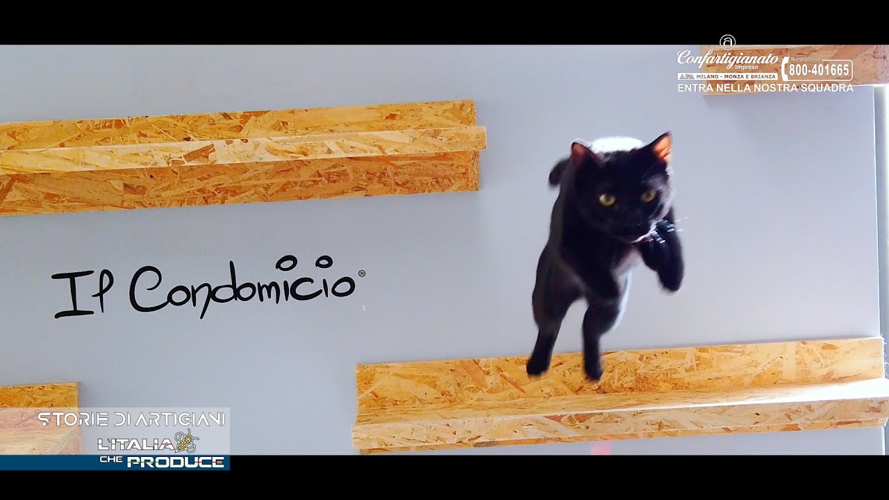 Il paradiso per i gatti esiste, si chiama Condomicio