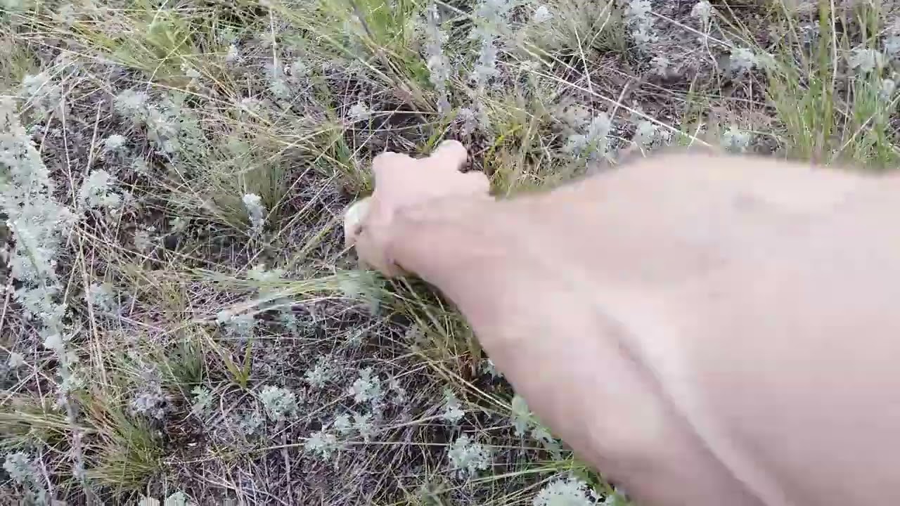Тест металлоискателей SkycruiserS43 SkycruiserХ13Pro Minelab X-terra 705