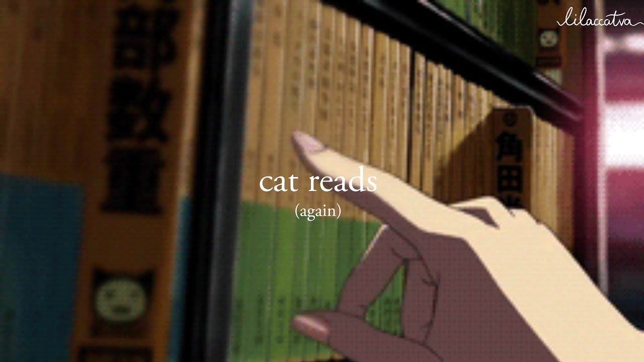 here we are (again) | [cat reads] [pt.2]