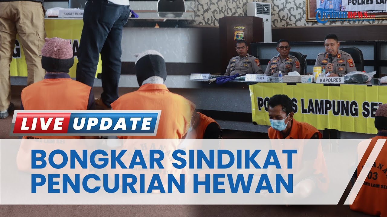 Sindikat Pencurian Hewan Ternak di Lampung Selatan Dibongkar, 2 Pelaku Masih Berusia 15 Tahun