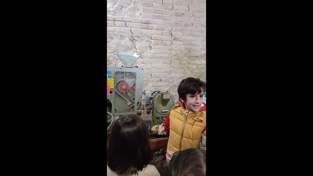 Benvolguts Reis Mags