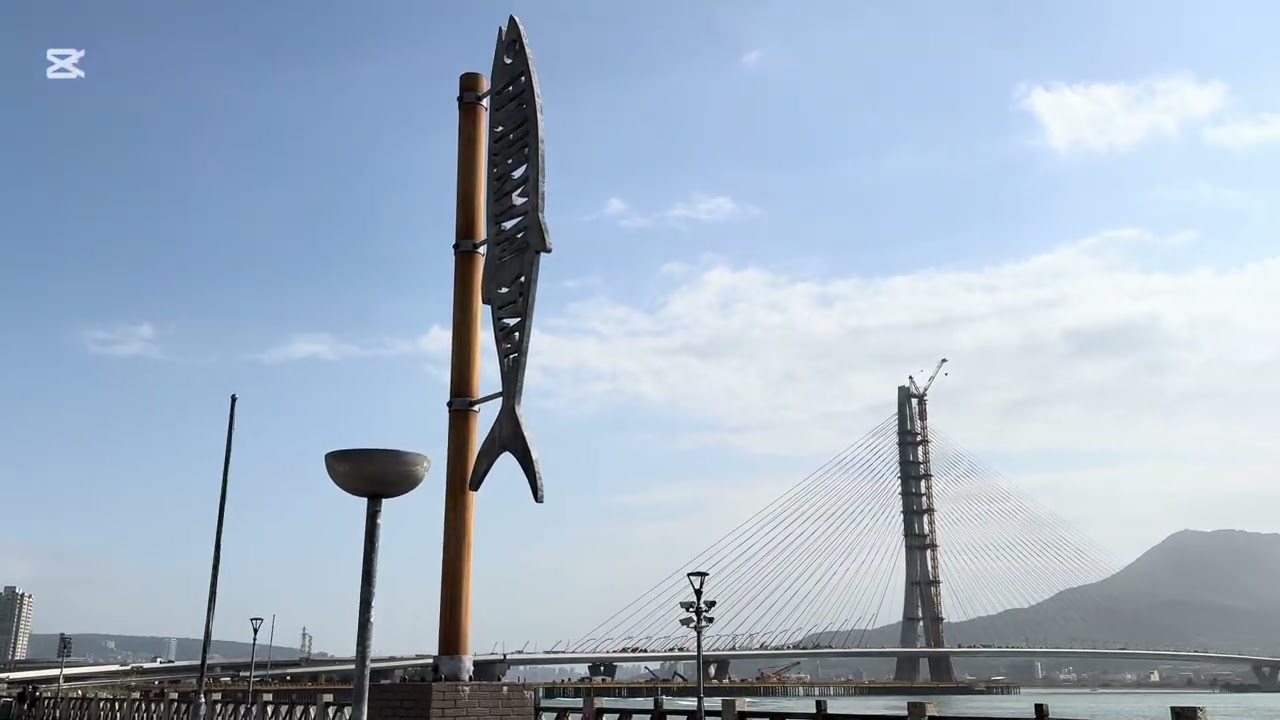2026年1月17日