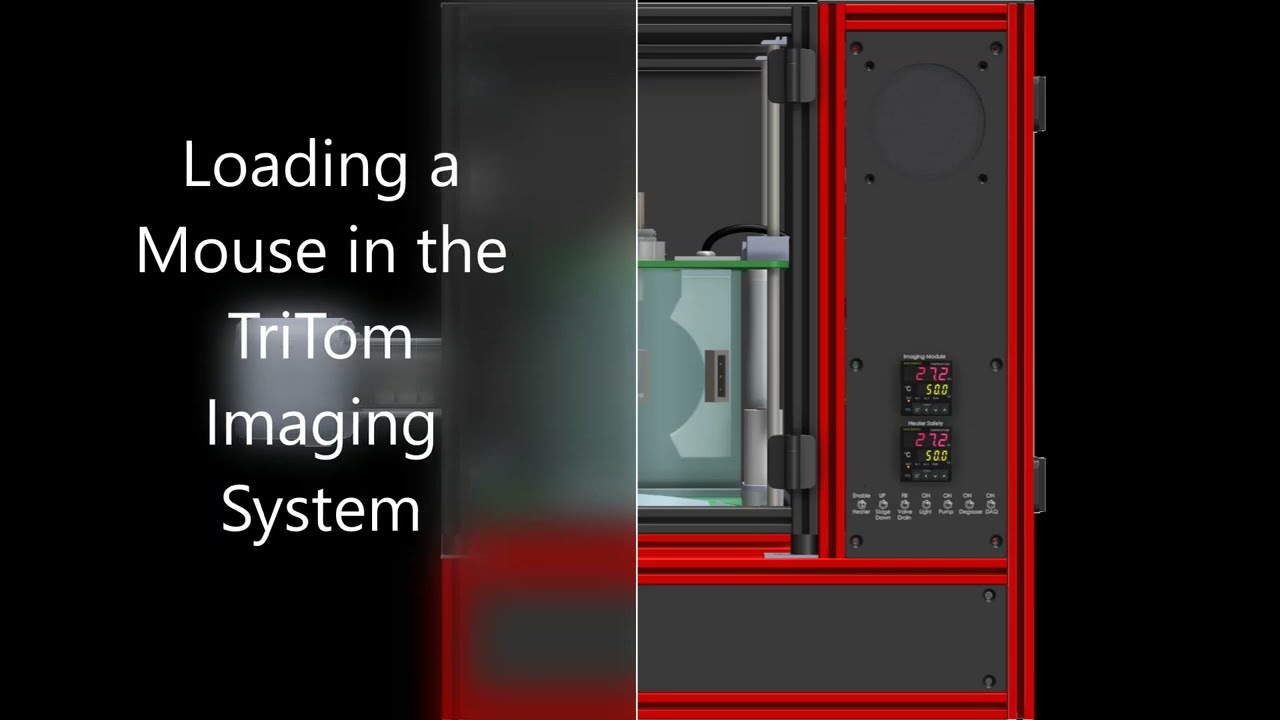 Loading a Mouse in the TriTom Imaging System