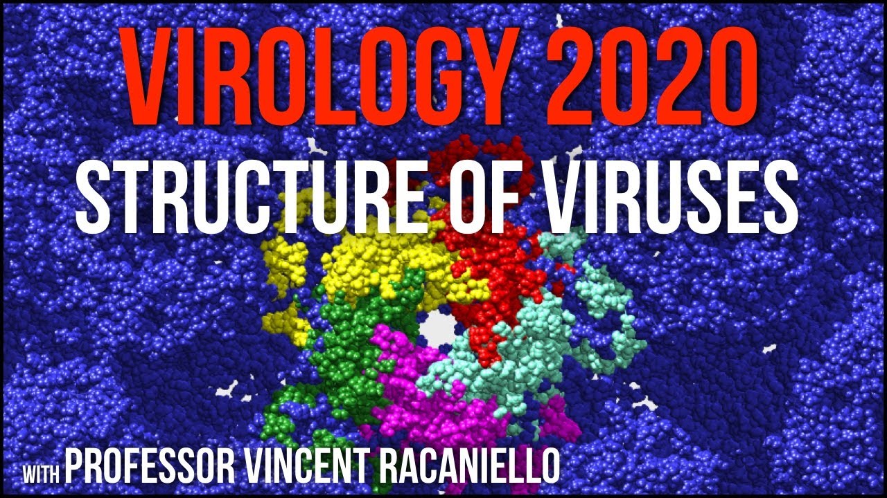 Virology Lectures 2020 #4: Structure of Viruses