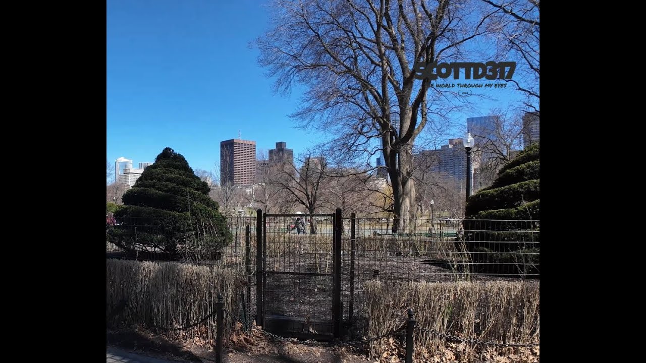[4K] Cold Spring Day in Boston  Public Garden Walk Amid NCAA Elite 8   ScottD317