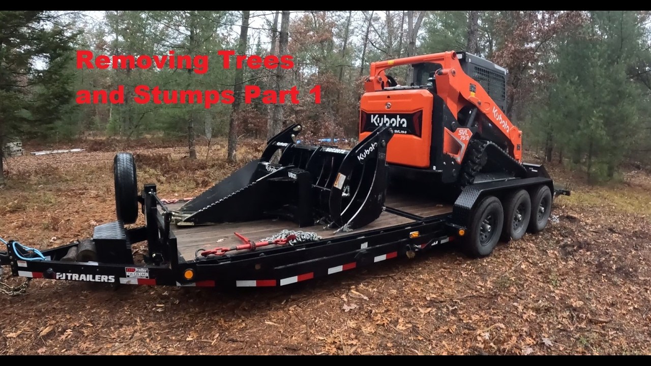 Removing Trees and Stumps at Jose Lake, MI. Part 1 #kubota #forest #mulching #tractor #tree #trump