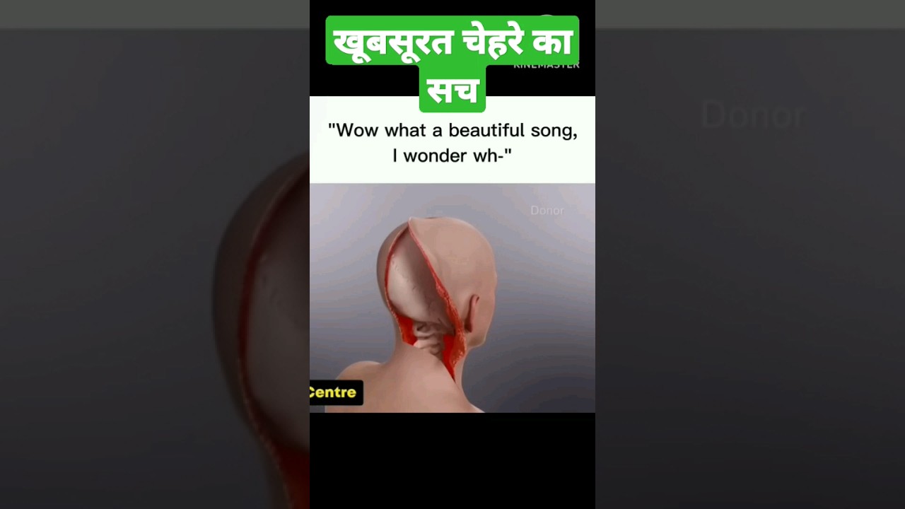 skull anatomy, #shortsfeed #fact ,#shorts