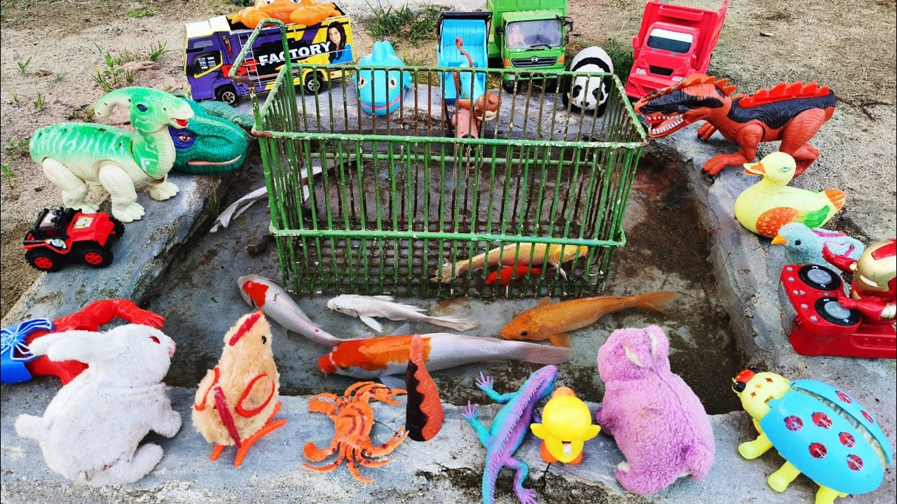 Catch Many Colorful Ornamental Fish In The Pond, Koi Fish, Real Turtles, Chickens, Ducks