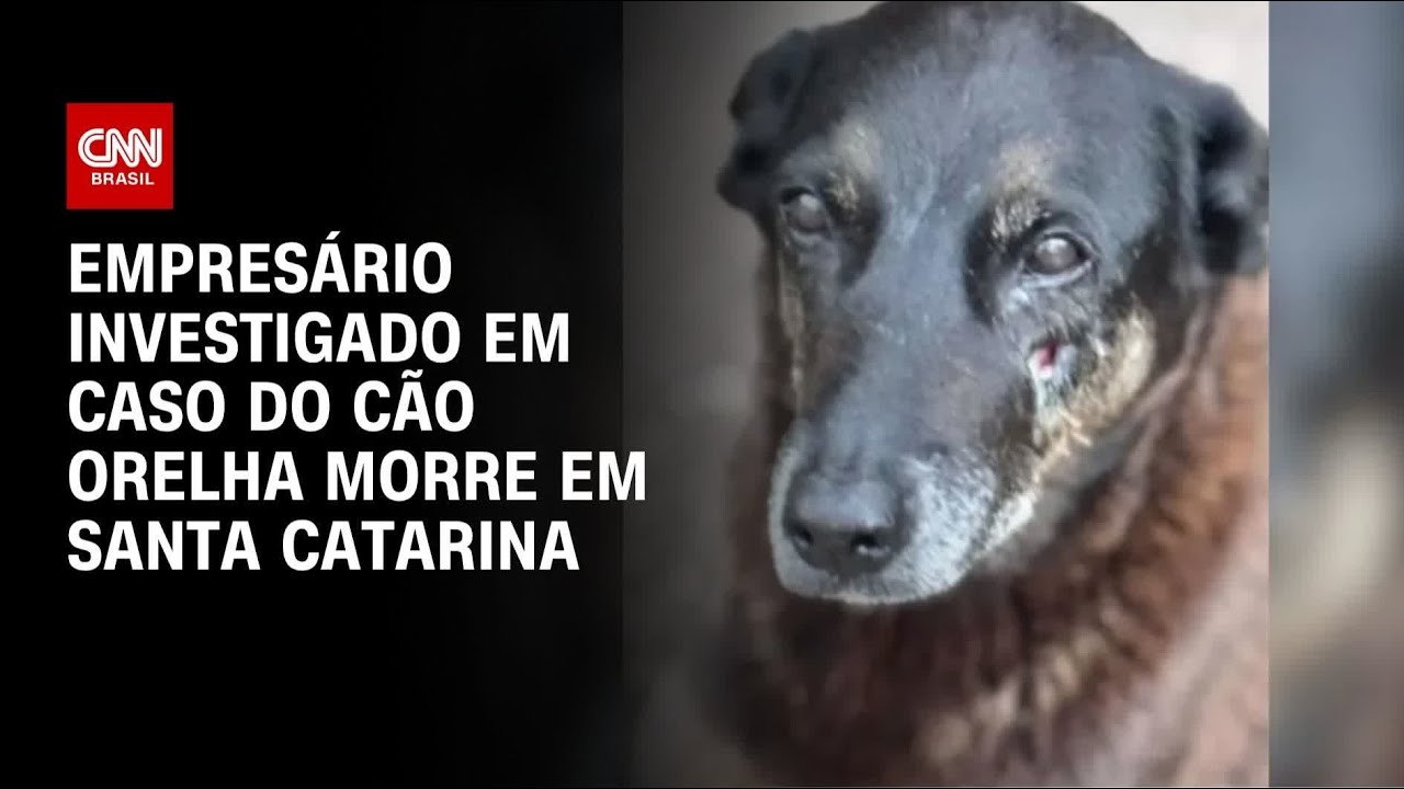 C&atilde;o Orelha: Empres&aacute;rio investigado por coa&ccedil;&atilde;o morre em Santa Catarina | CNN NOVO DIA