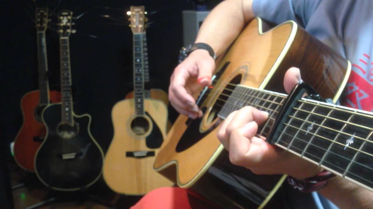 ♪越冬つばめ♪cover