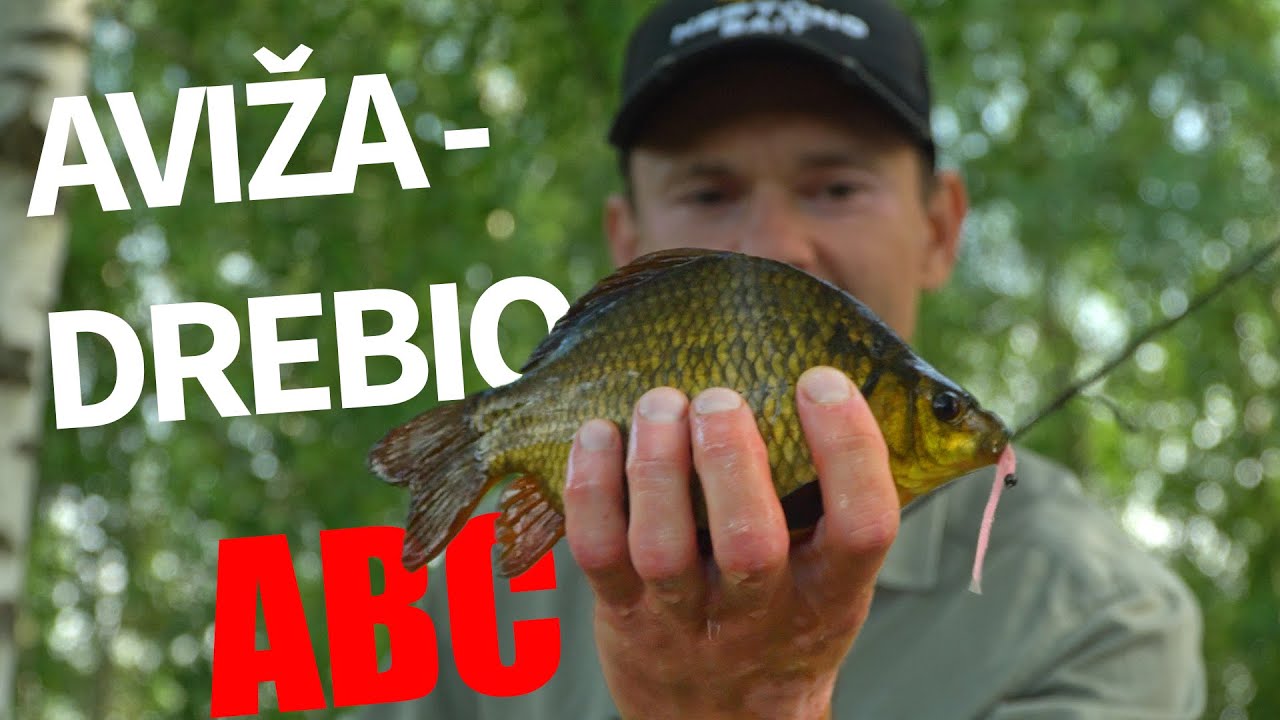 Avižadrebio ir nano džigo ABC – ką reikia žinoti