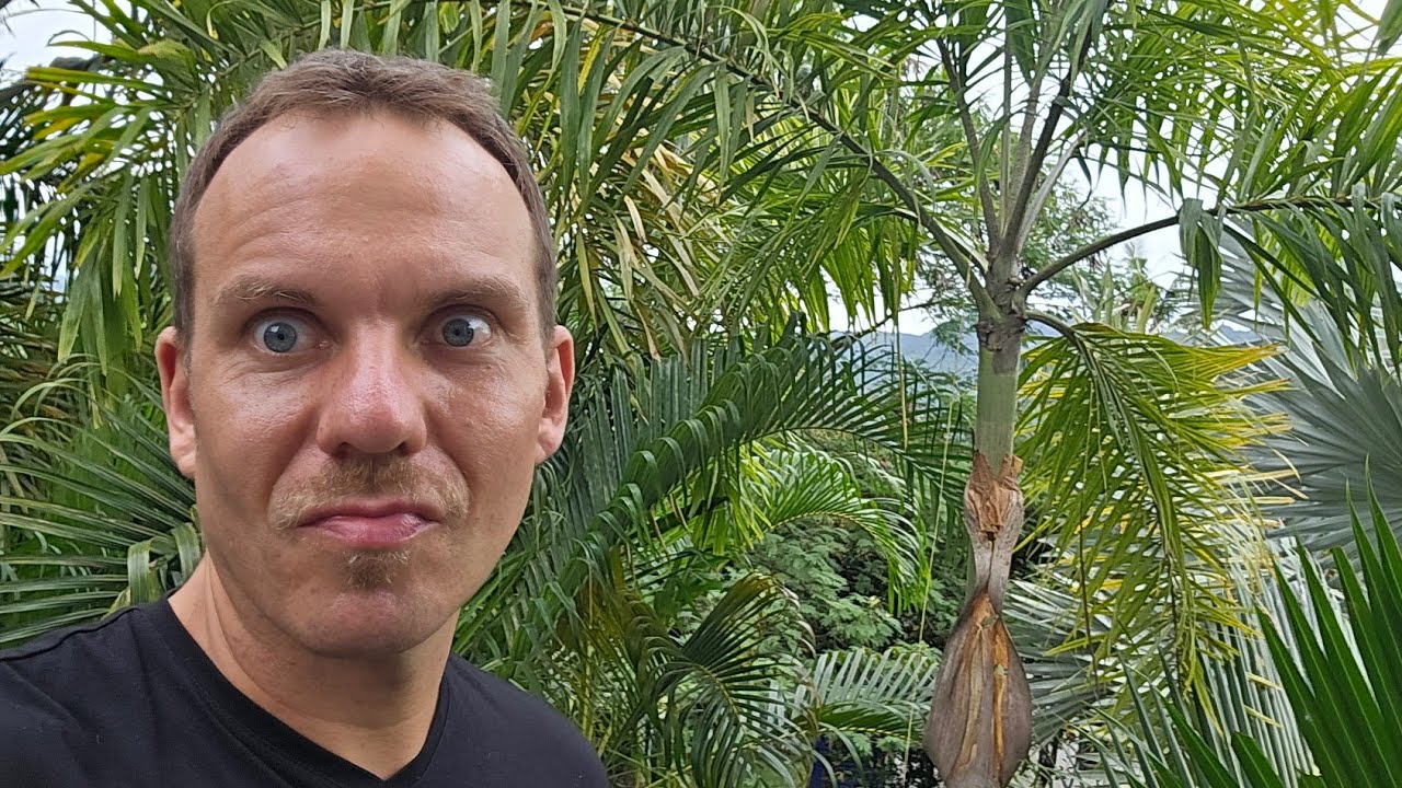 Are many on Koh Phangan neurodivergent?