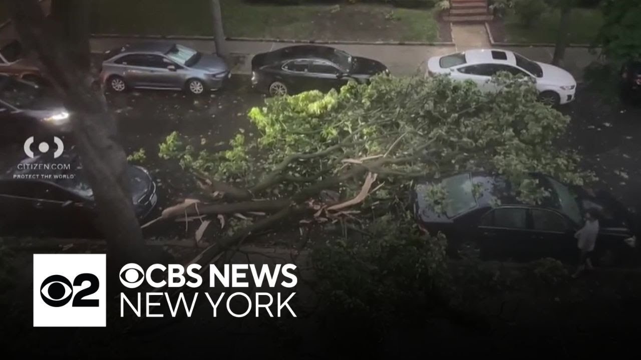 Storms down trees, cause damage across Tri-State Area