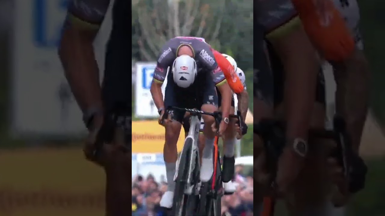 Mathieu van der Poel: The King of Milano-Sanremo 👑 #cycling #mvdp #sanremo