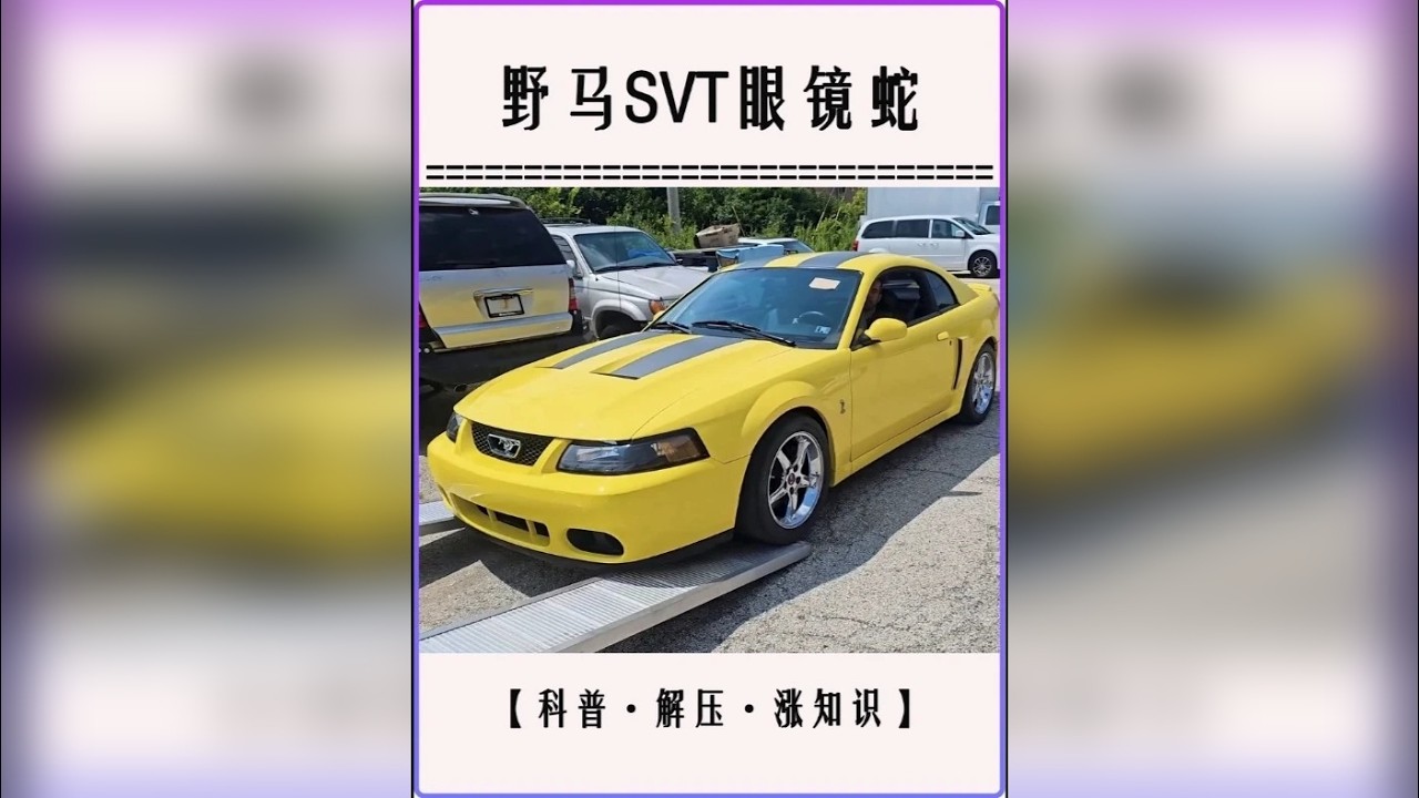 3万美元捡漏野马眼镜蛇，三大硬核升级变身终极猛兽