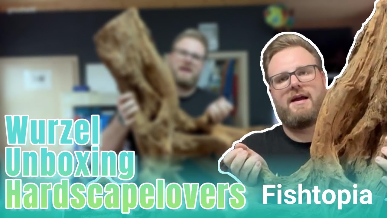 Wurzel Unboxing Hardscapelovers