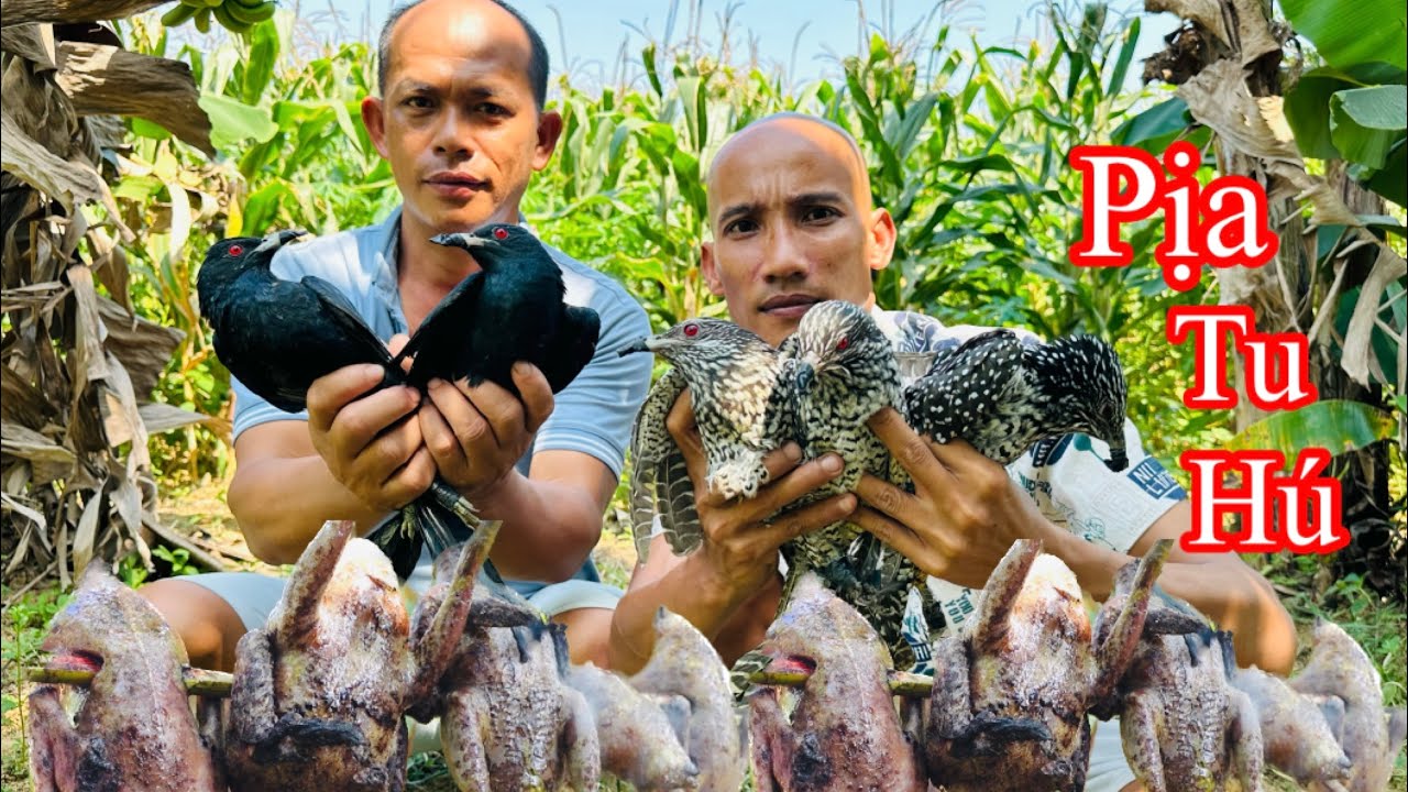 Ku Phong Lần Đầu Thưởng Thức Món Pịa Tu Hú - Toàn Đen Sơn Dược Vlog