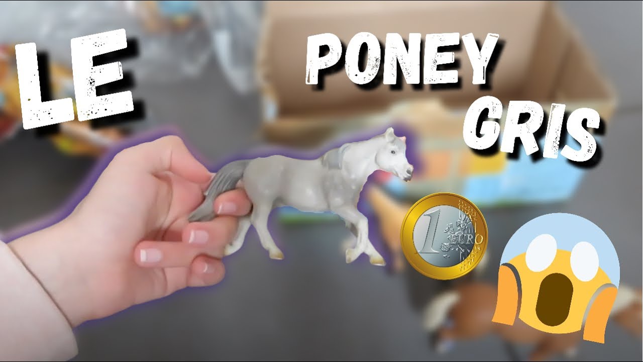 Ouverture de colis - la famille s'agrandit ou plutôt la collection - j’achète le poney gris