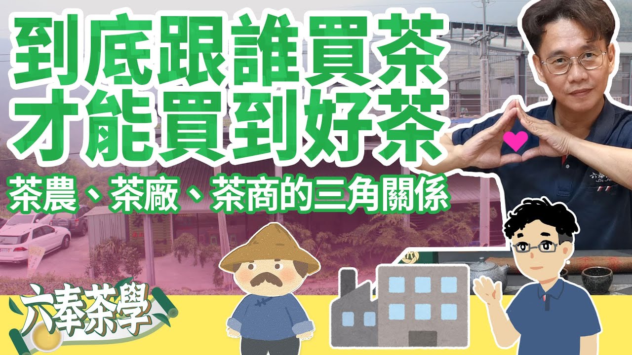 【六奉茶學】今天就來打破這個迷思！直接到產地購買就一定是好茶嗎？品茶師來分享茶農、茶廠、茶商的合作關係！