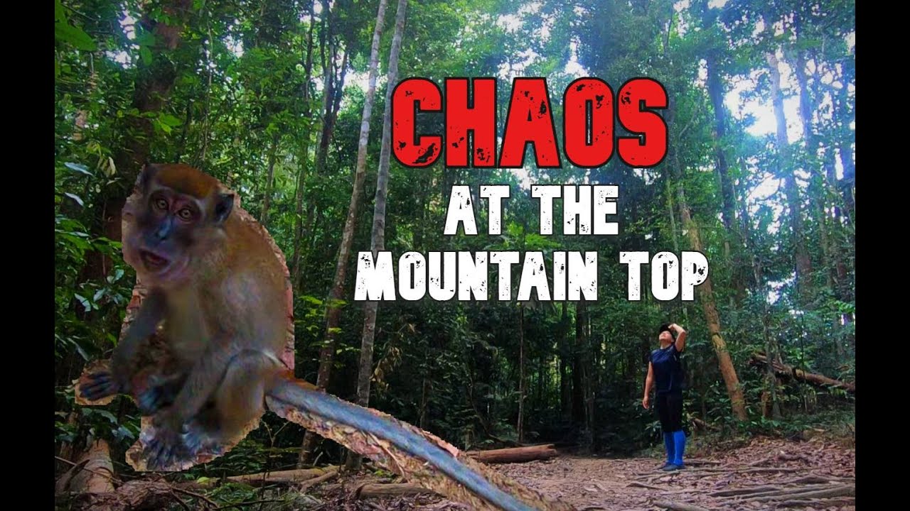 CHAOS on top of GUNUNG ANGSI | A Solo Hike That Didn't Feel like Solo | ADIDAS KAMPUNG is awesome!