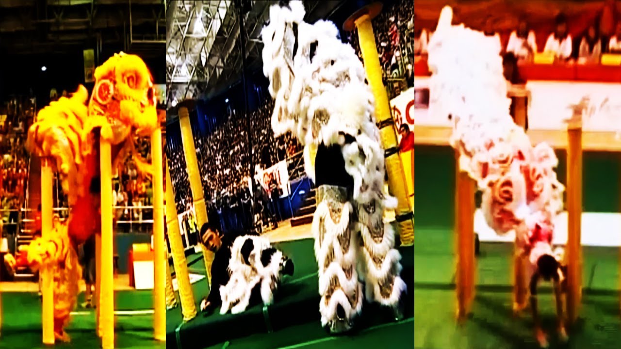 Fallen from High Pole Lion Dance
