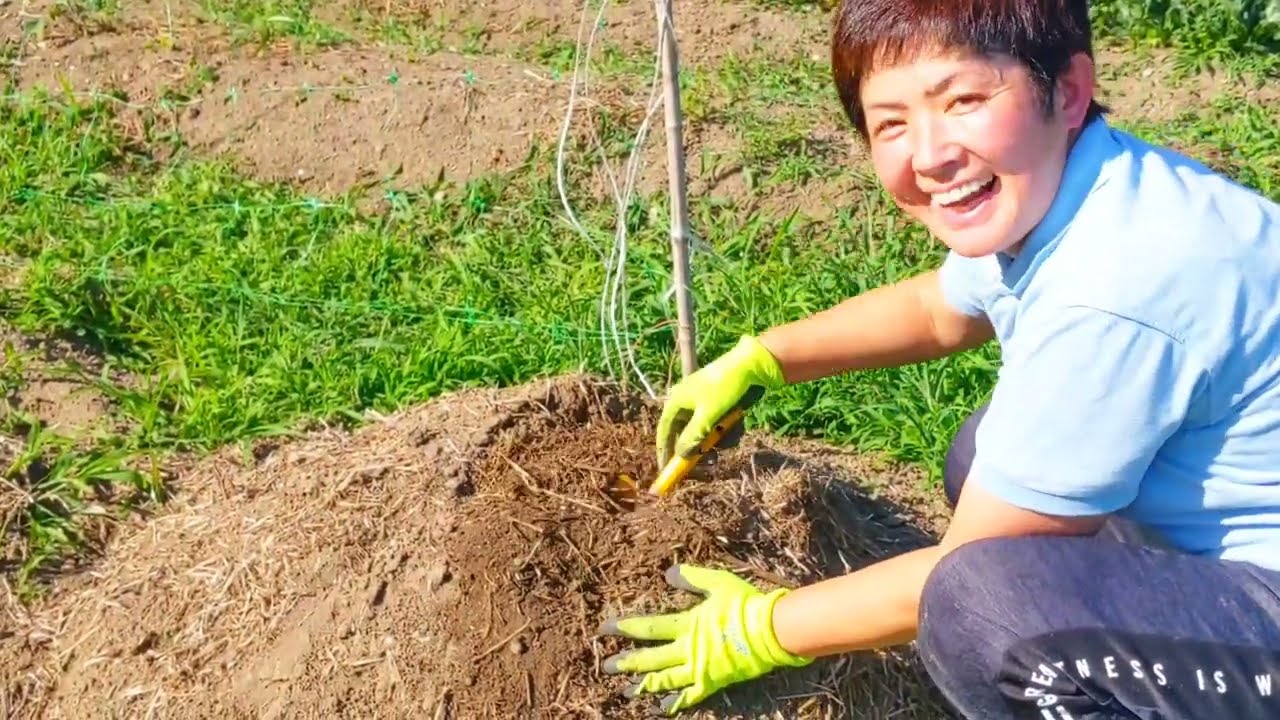 観たらやりたくなります❗雑草堆肥の作り方〜発酵〜完成まで😀※コイン精米機で掃いた米ぬかを戻しているのは私の誤りです。申し訳ございません！掃いた米ぬかはきちんと持ち帰りましょう😭