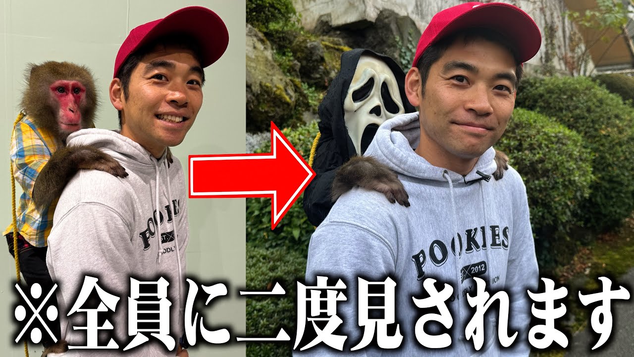 お猿さんにコスプレさせて散歩したら周りの人たちがとんでもないことに