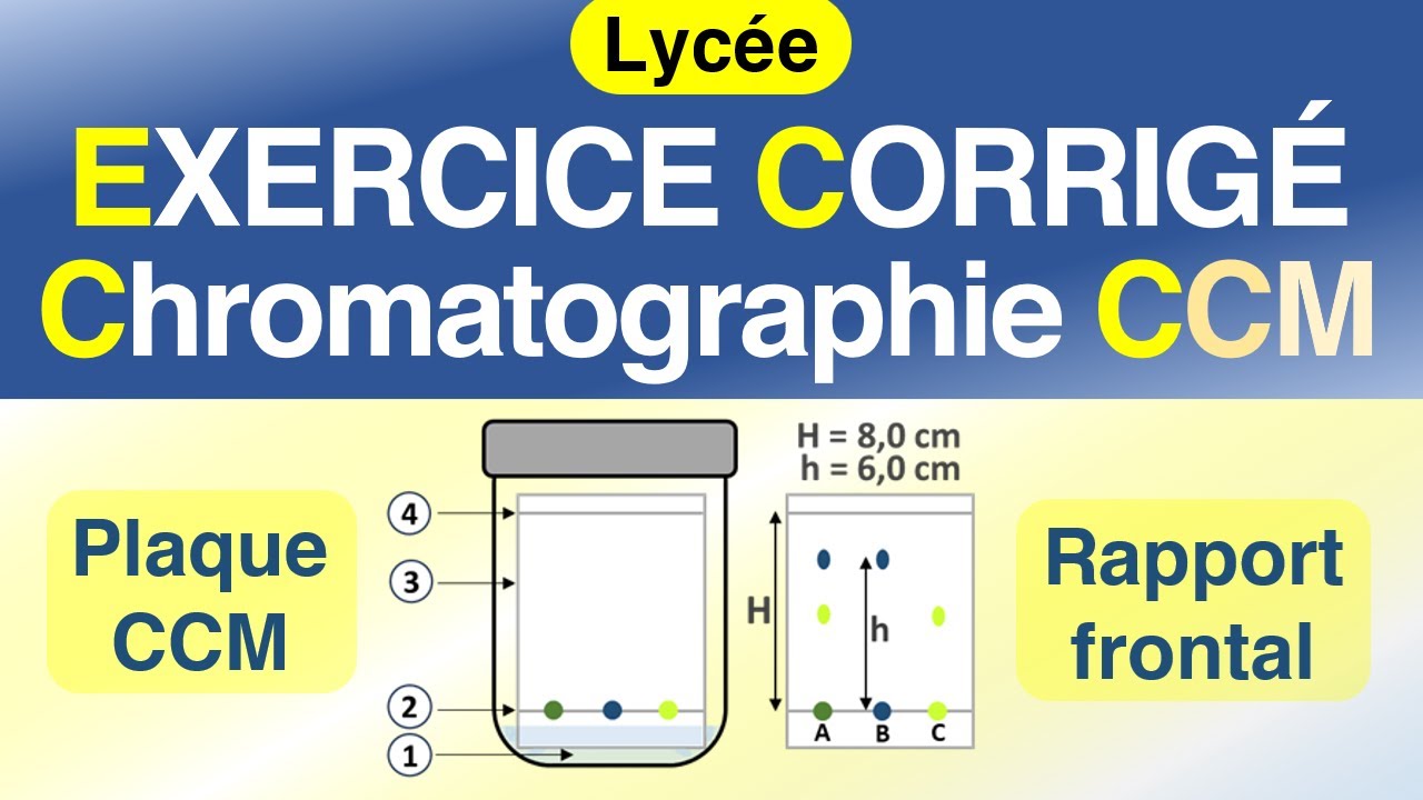 La chromatographie sur couche mince CCM | EXERCICE corrigé | Physique chimie.