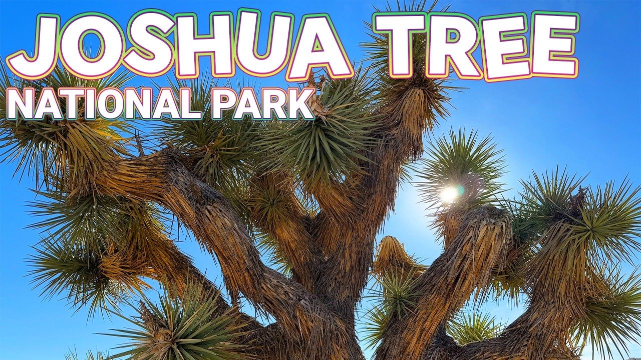 Joshua Tree: The Ultimate Family Survival Guide | $100 GIVEAWAY