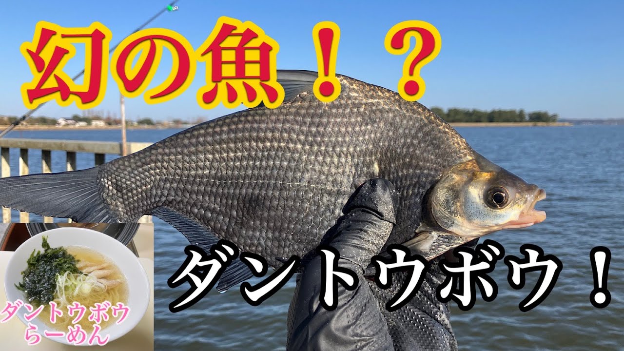 釣った魚でラーメン作ろう♪６　【ダントウボウらーめん】