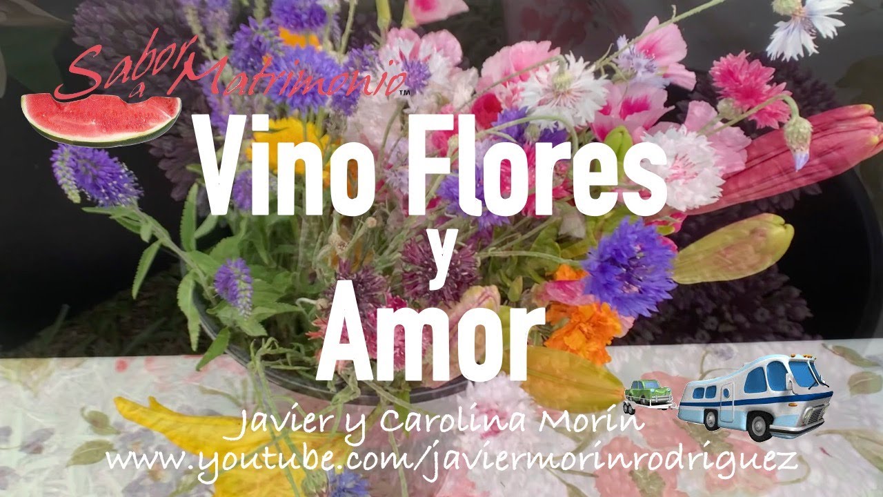 Javier Morin Rodriguez Vlog 