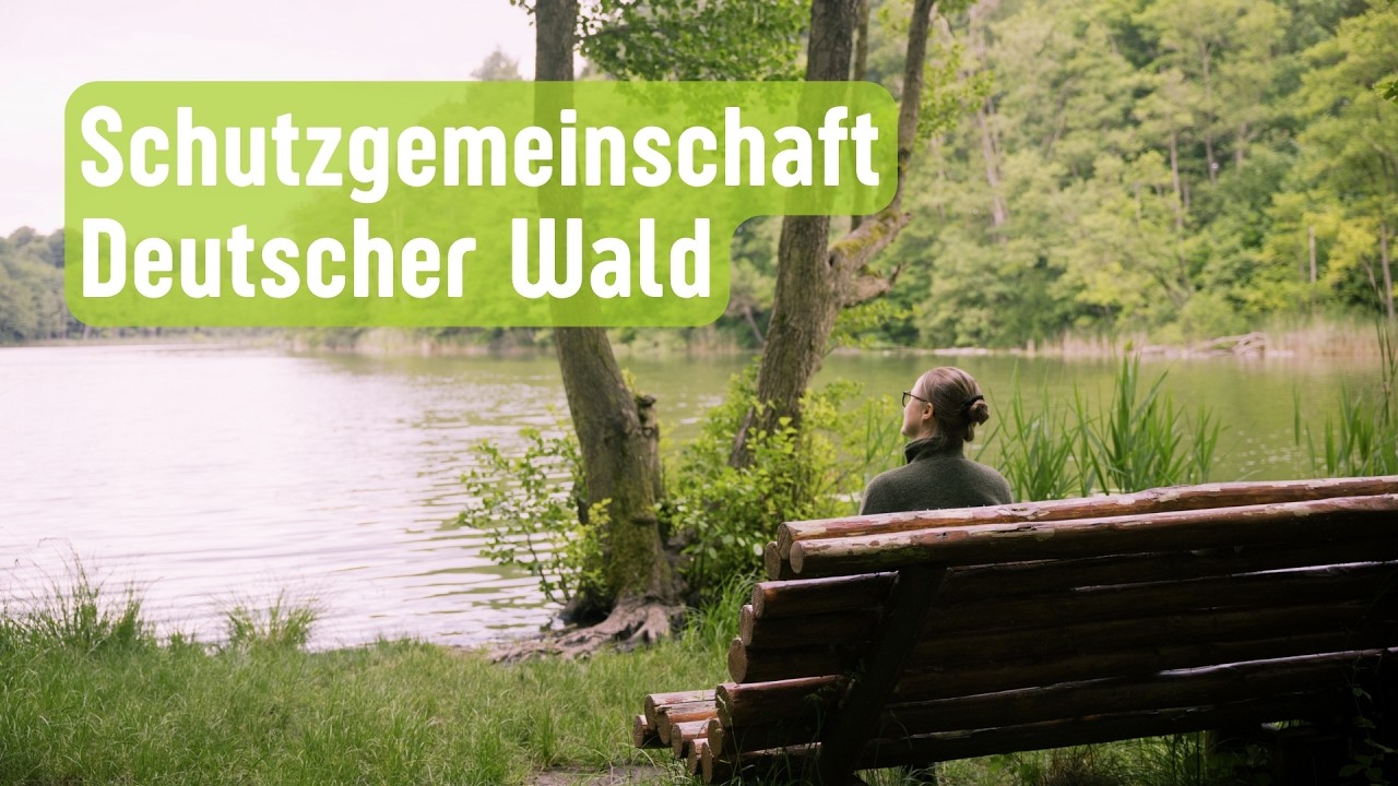 Schutzgemeinschaft Deutscher Wald / Landesverband Mecklenburg-Vorpommern e.V.