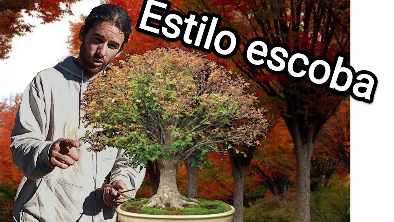 Estilo escoba. Hokidashi