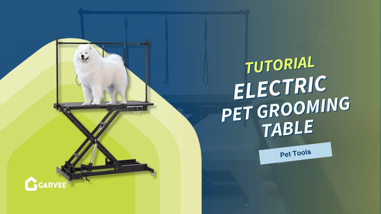 Adjustable Electric Pet Grooming Table That Actually Works?! #Garvee
