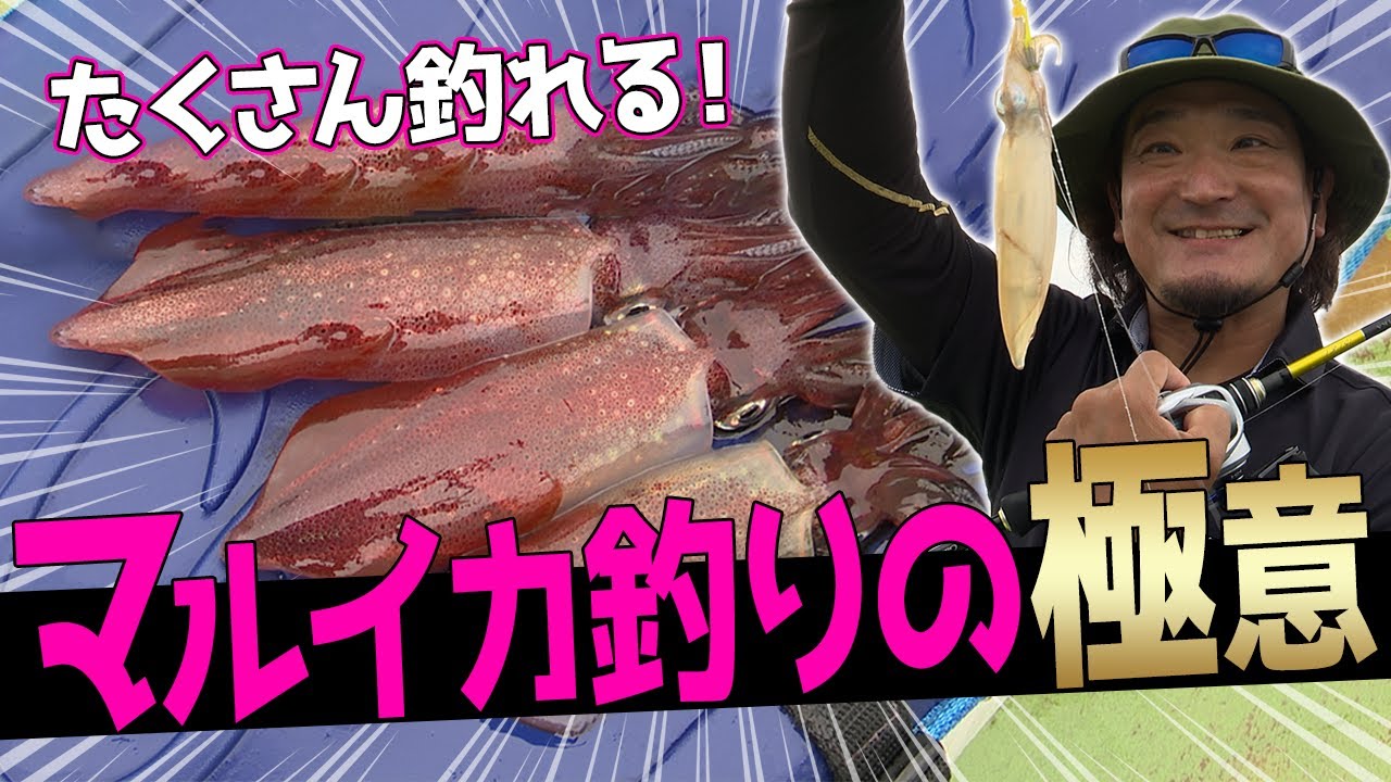 浅棚マルイカ釣りの魅力と完全攻略法！【マルイカ】【船イカ】