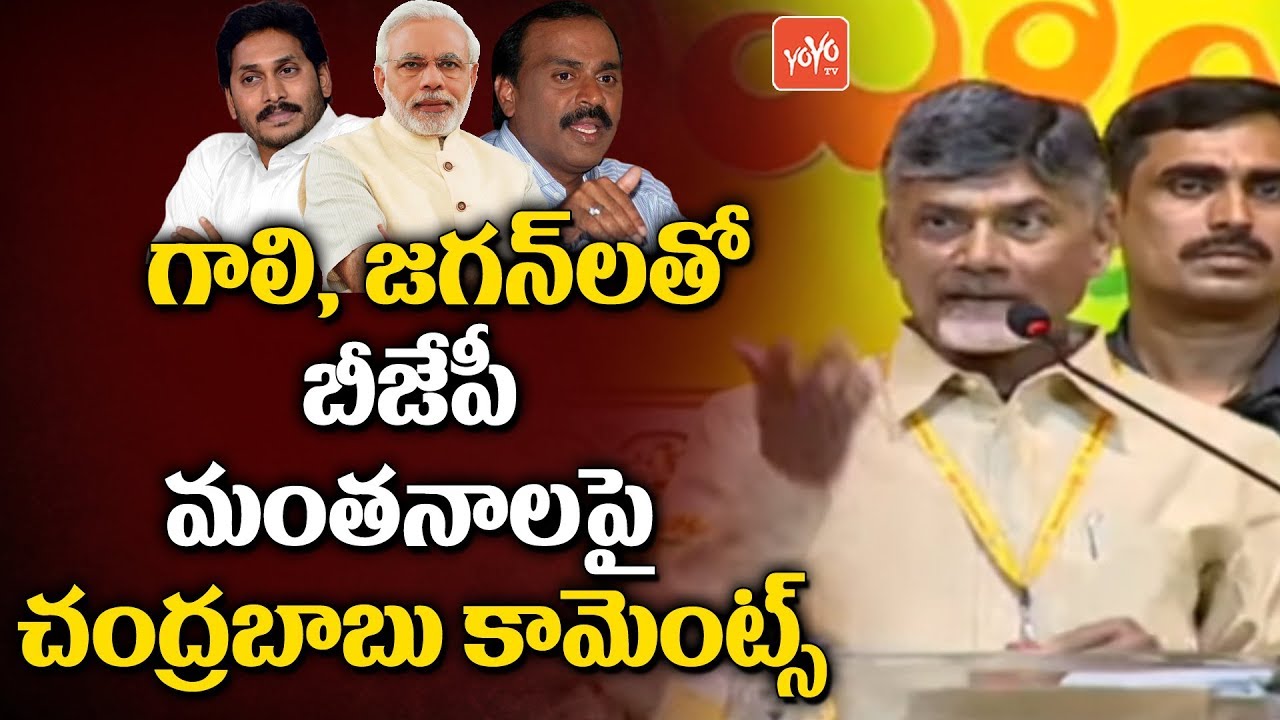 Chandrababu on BJP Politics with Gali Janardhan Reddy & YS Jagan at Telangana TDP Mahanadu | YOYOTV