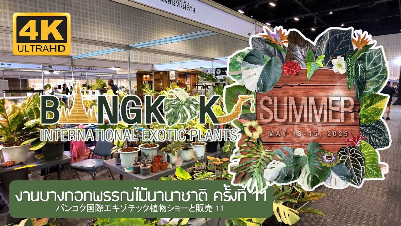 11th Bangkok International Exotic Plants 2025 งานบางกอกไม้นานาชาติ ครั้งที่ 11 バンコク国際外来植物ショー & セール