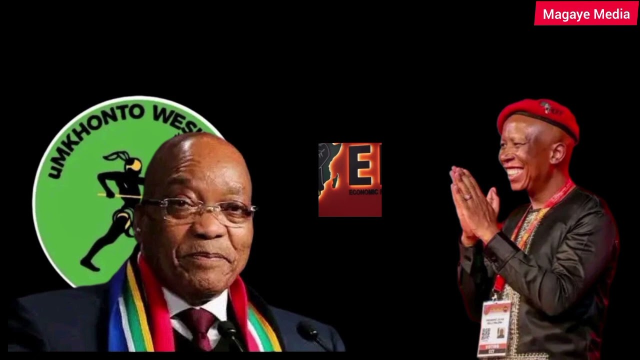 U Julius Malema uthi weseka i Mk Kakhulazi esifundwazweni sase KZN ngenxa yokuthi...