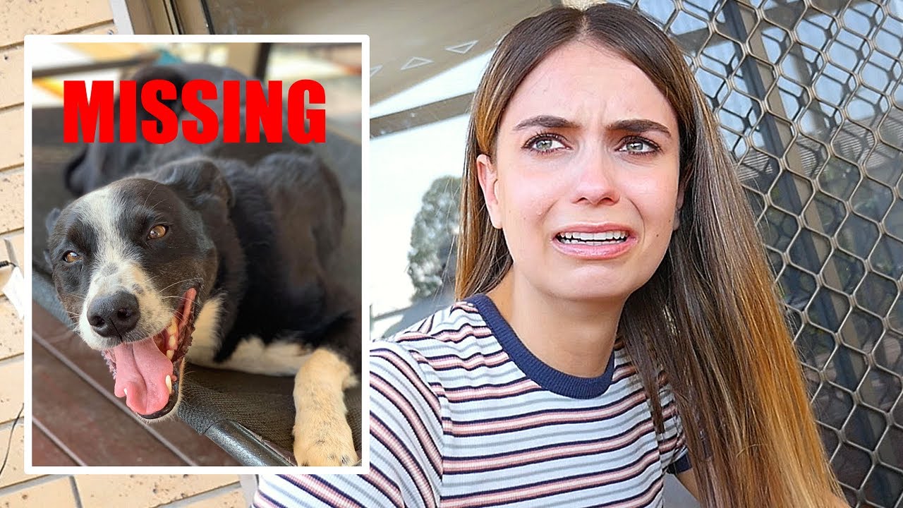SHE LOST HER DOG :(