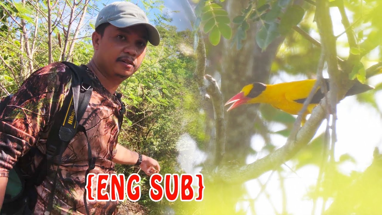 {ENG SUB} Birding Tarlac Recreational Park (TRP) | Jose V. Yap Sports and Recreational Complex